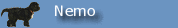 Nemo